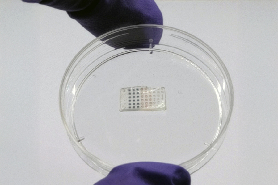 Innovative Drug-Delivery Patch Enhancing Heart Recovery Post-Attack