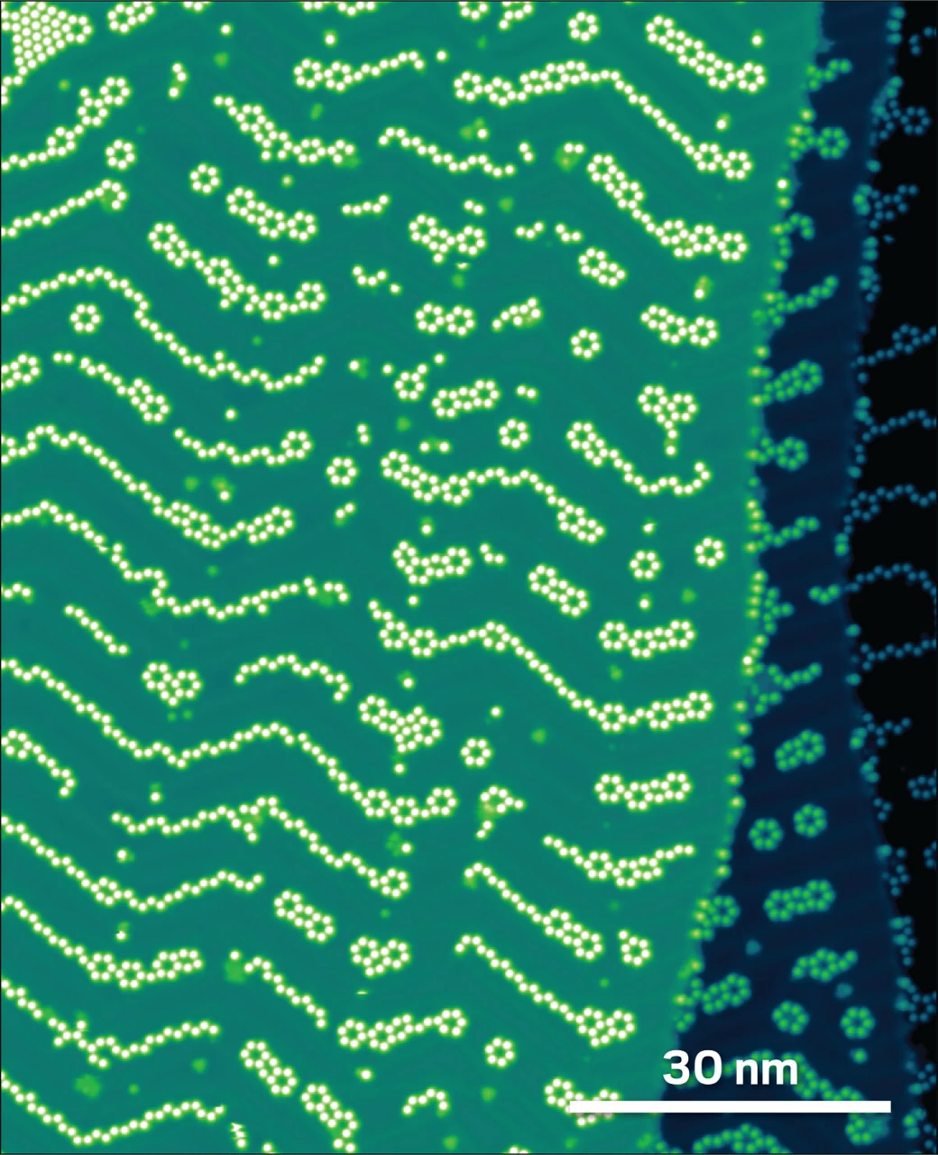 Phenyl-functionalized trioxatriangulenium molecules on gold substrate