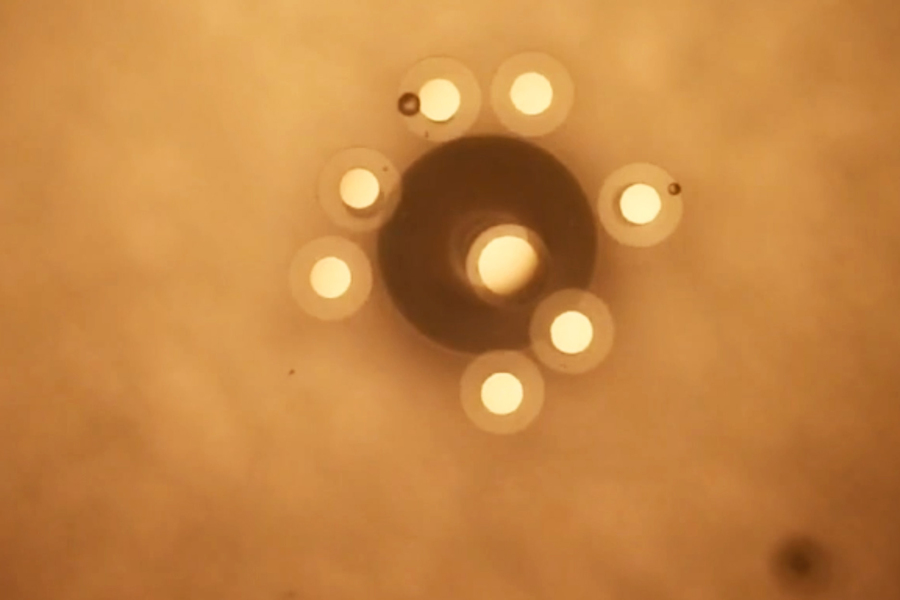 MIT Microparticles Oscillating Clock