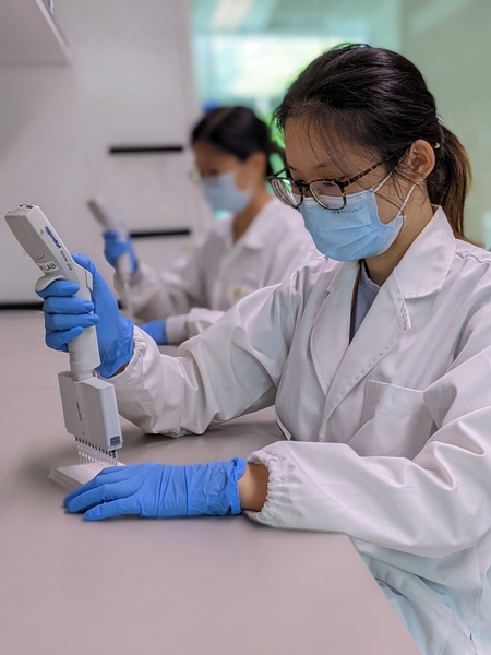 Gut Microbiome Study